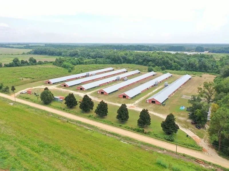 Lake Frankie Broiler Farm – Six House Farm in Geneva County, Alabama - land for sale