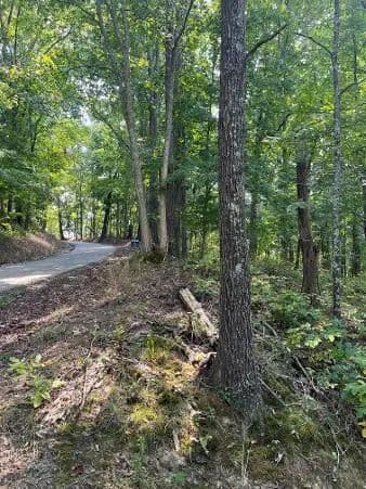 Vacant Land (10+ Acres) in Waddy - Waddy, Kentucky, 40076