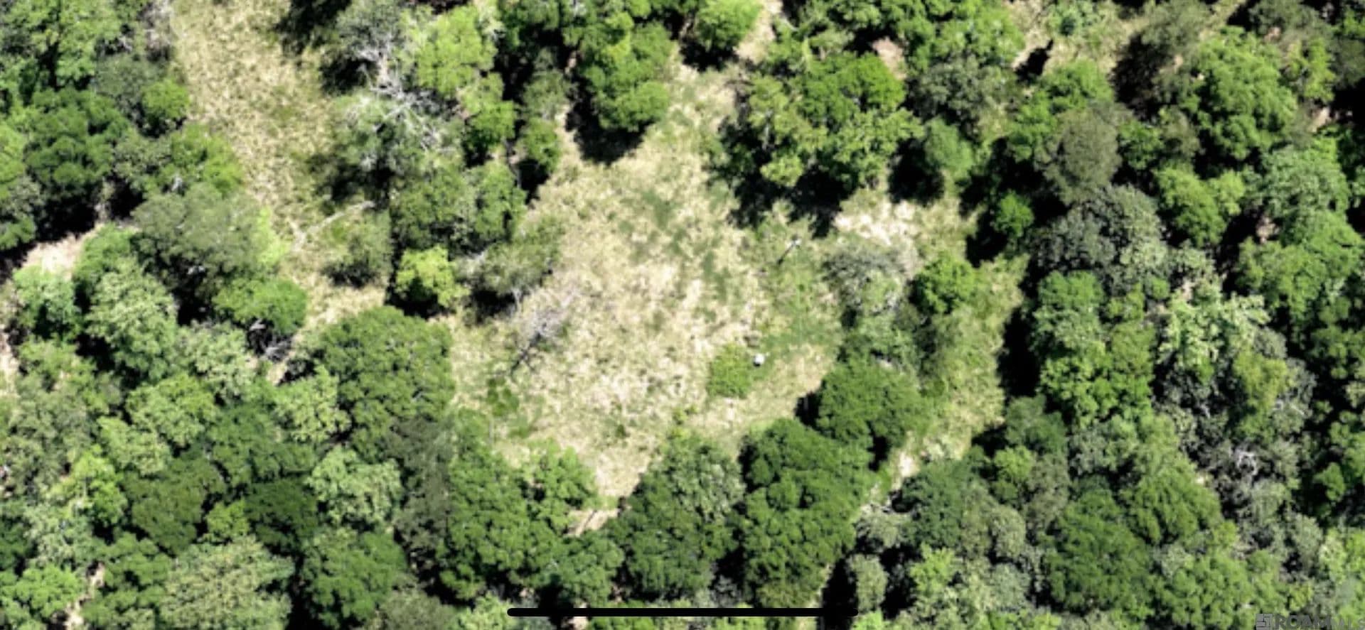 Lots & Land-Other in Clinton - Clinton, Louisiana, 70722