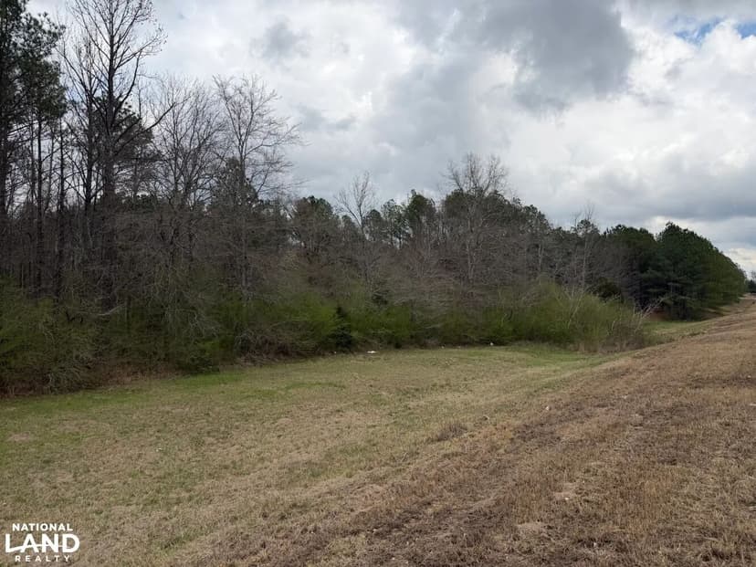 I-22/US HWY 78 Commercial/Investment Opportunity