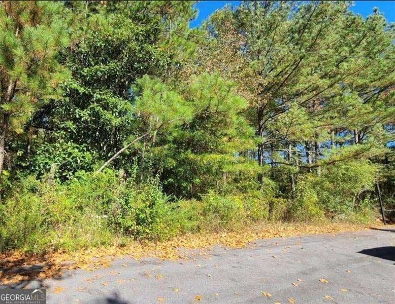 Vacant Land in Rome - Rome, Georgia, 30161