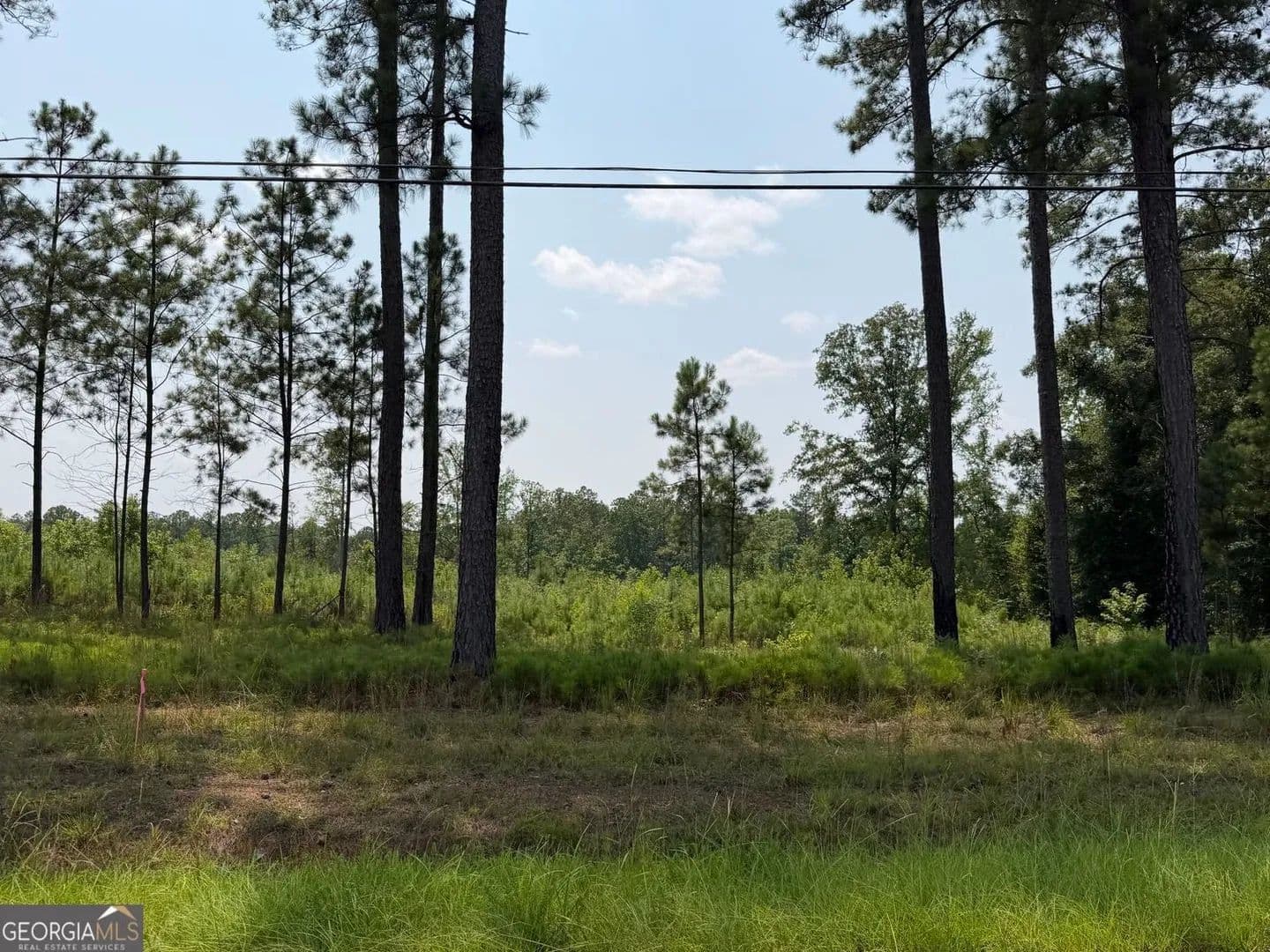 Lots & Land-Other in Forsyth - Forsyth, Georgia, 31029