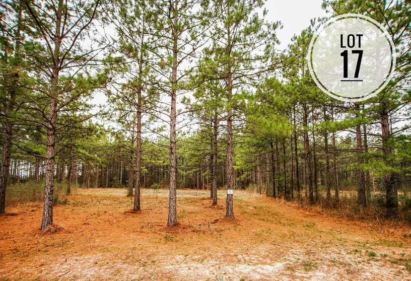 Lots & Land-Other in Anacoco