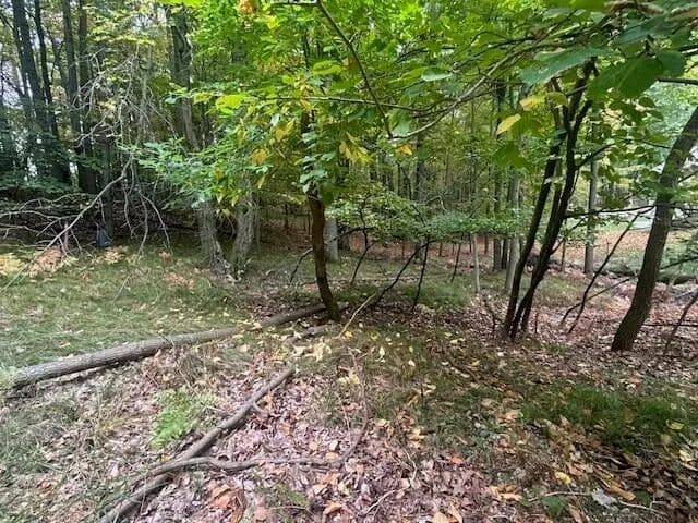 Lots & Land-Other in Canadian Lakes - Canadian Lakes, Michigan, 49346