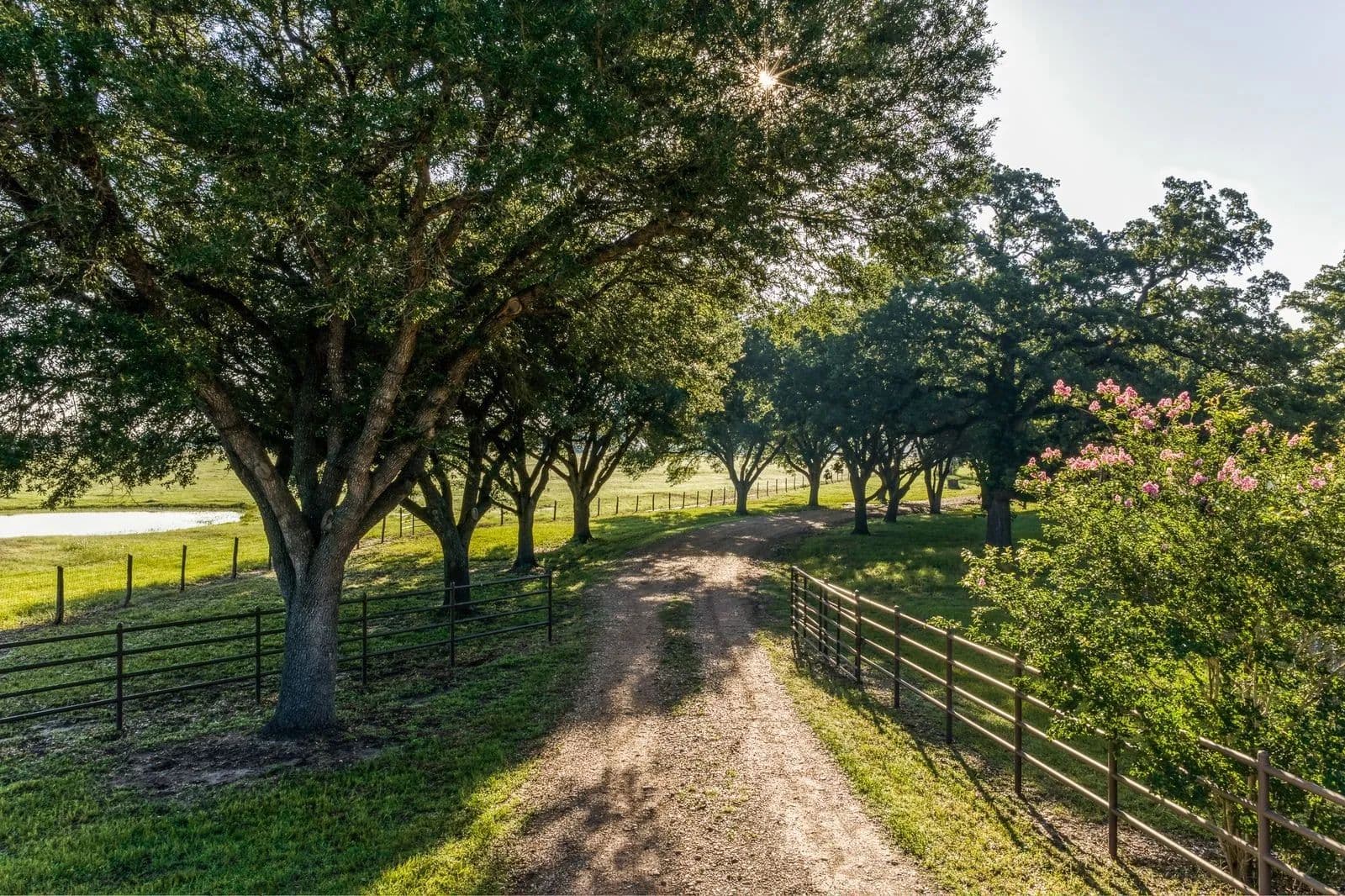 469.82 Acres of Land for Sale in Washington, TX - Washington, Texas, 77880