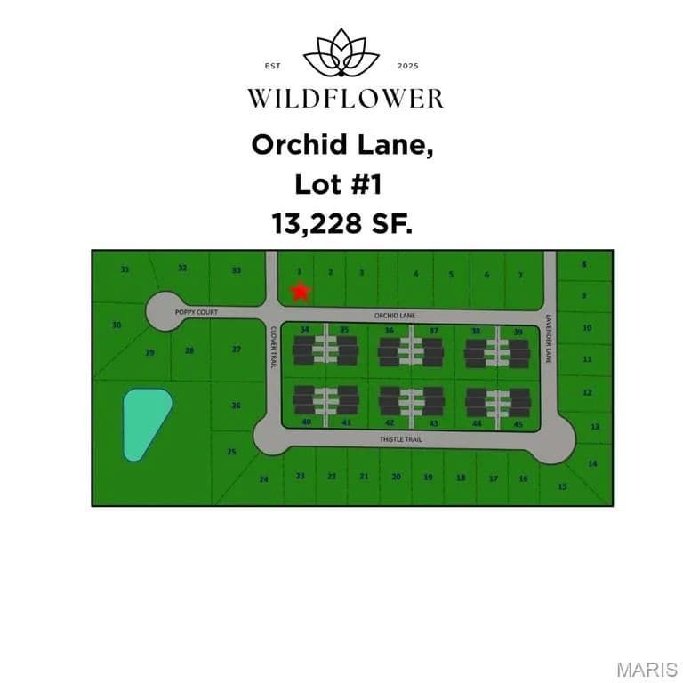 Land -Agricultural (Not Zoned) in Litchfield - Litchfield, Illinois, 62056