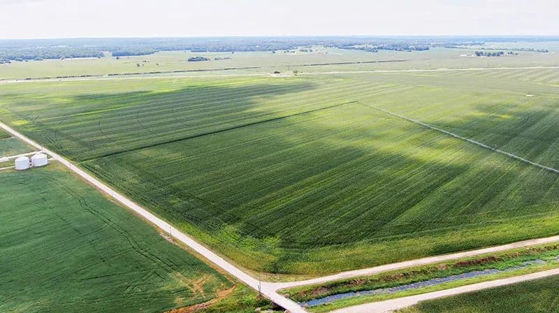 Ferris Trust - Worthington, Indiana, 47424