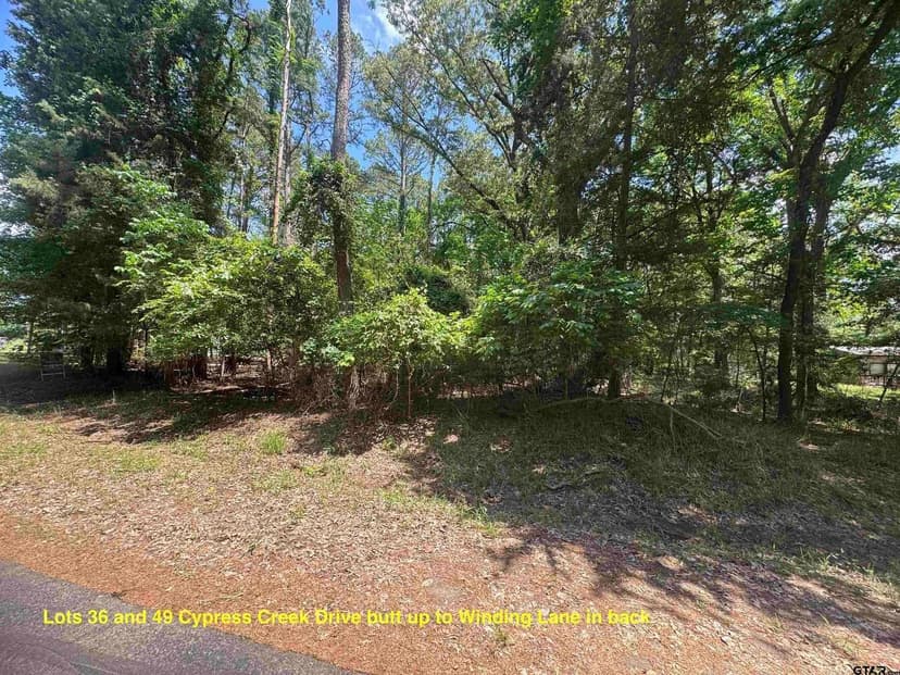Lots & Land-Other in Mt Vernon