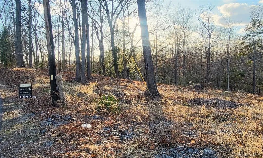 Land -Single Family Acreage in Marlboro - Marlboro, New York, 12542