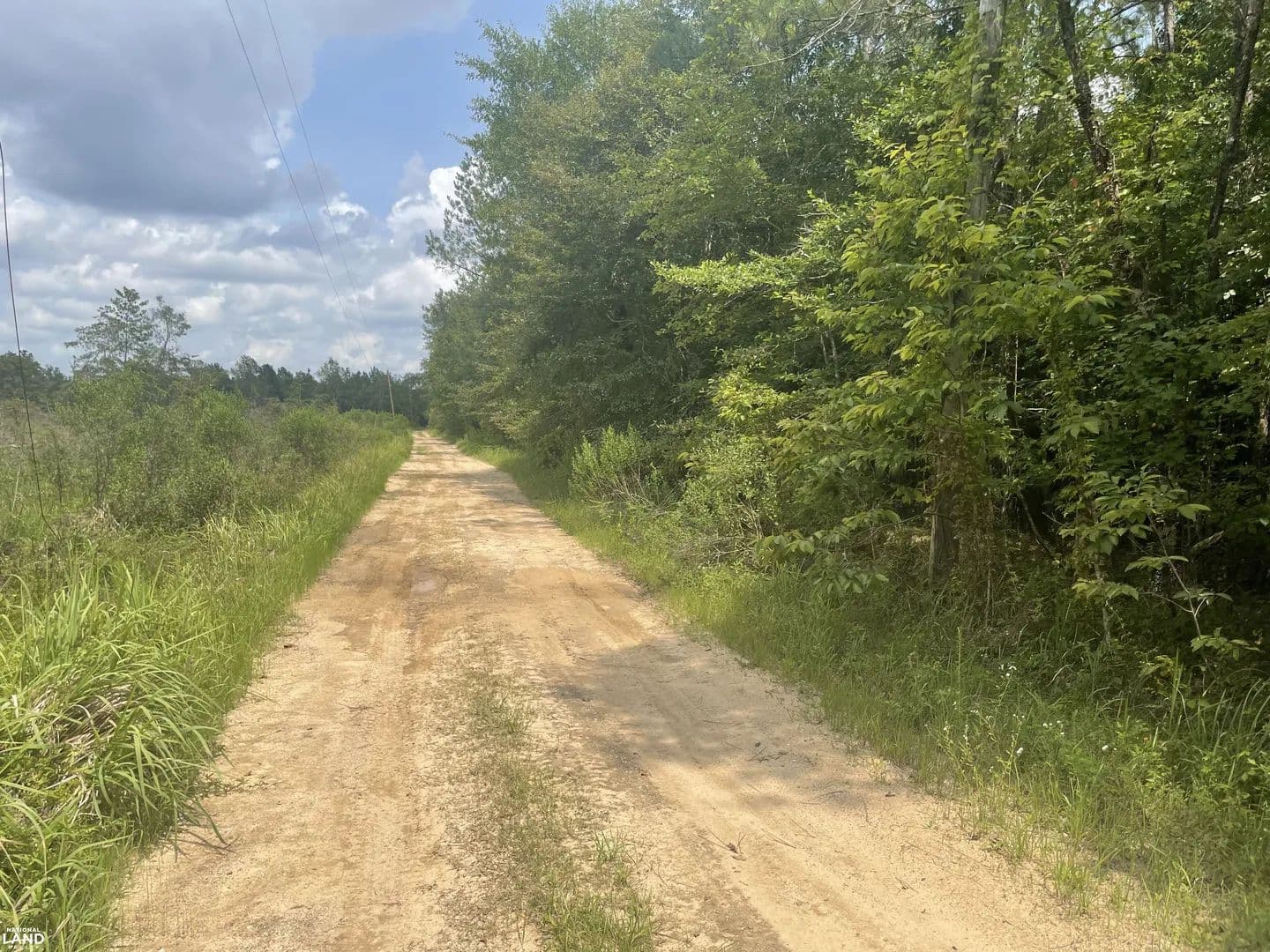 Lucas Road Acreage - Axis, Alabama, 36505