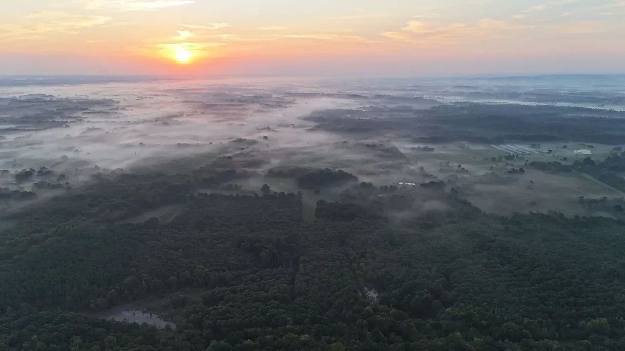 180 +/- Acre Homestead in Lawrence County, AL - Mount Hope, Alabama, 35651
