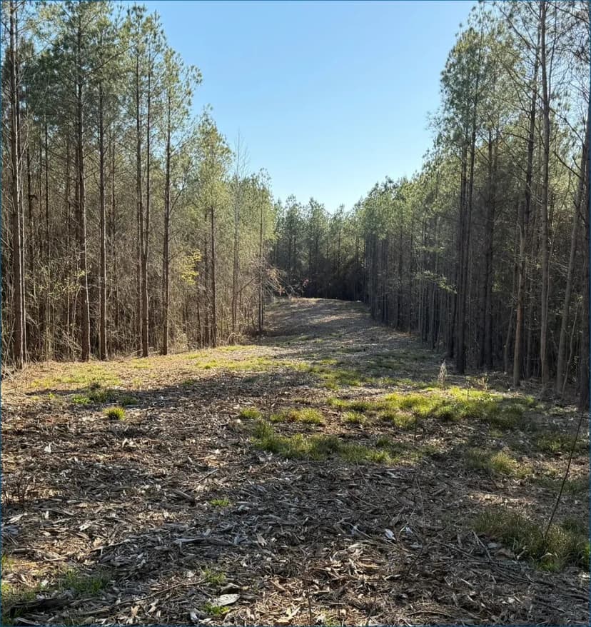 48.3 Acres in Attala County in Kosciusko, MS