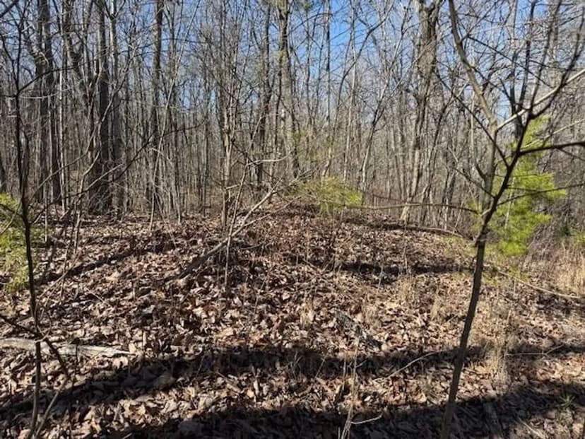0.88+/-acres wooded lot near Graysville Tn