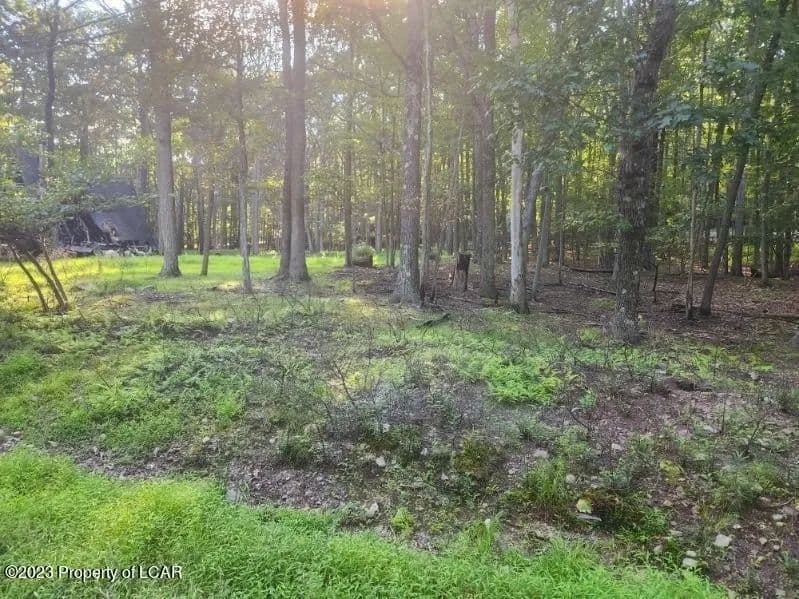 Lots & Land-Other in White Haven