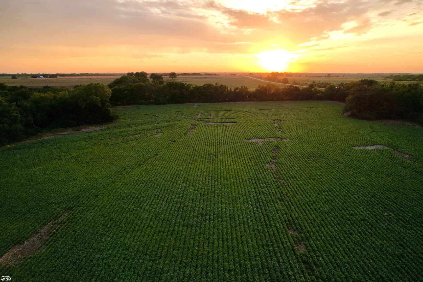 58 +/- Acres: Tillable, Timber, and Whitetail Hunting - Erie, Kansas, 66733