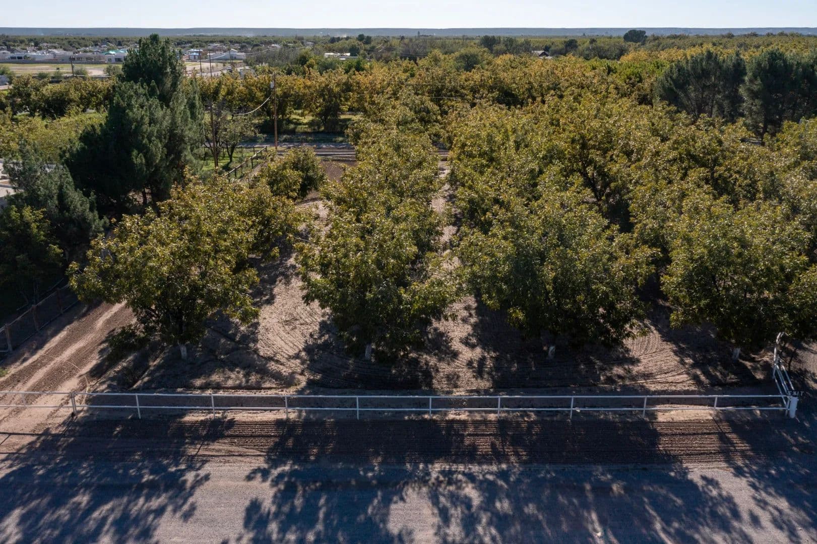 Las Cruces, NM Land for Sale with Pecan Trees, Interstate Access & EBID Irrigation Rights - land for sale