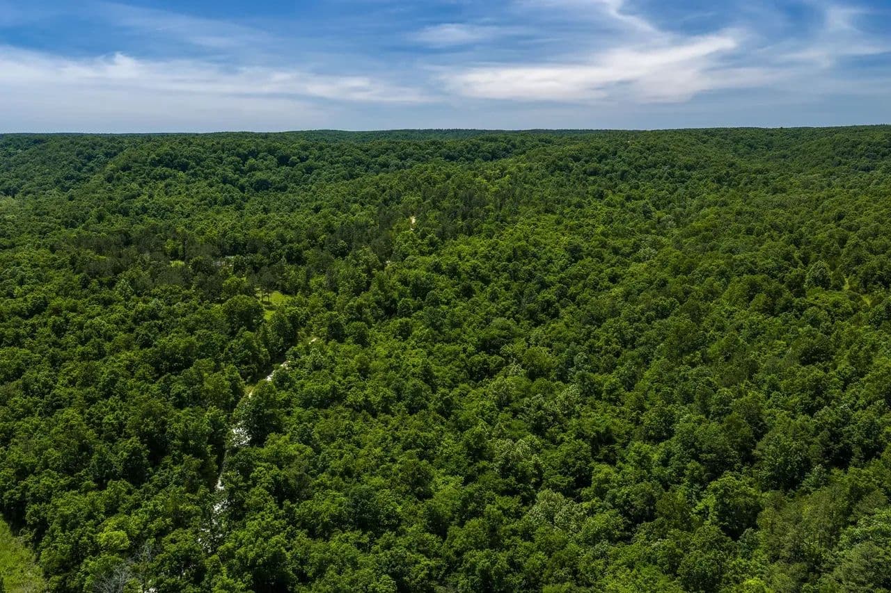 Timberhill Acres-Tract 2 - Raymondville, Missouri, 65555