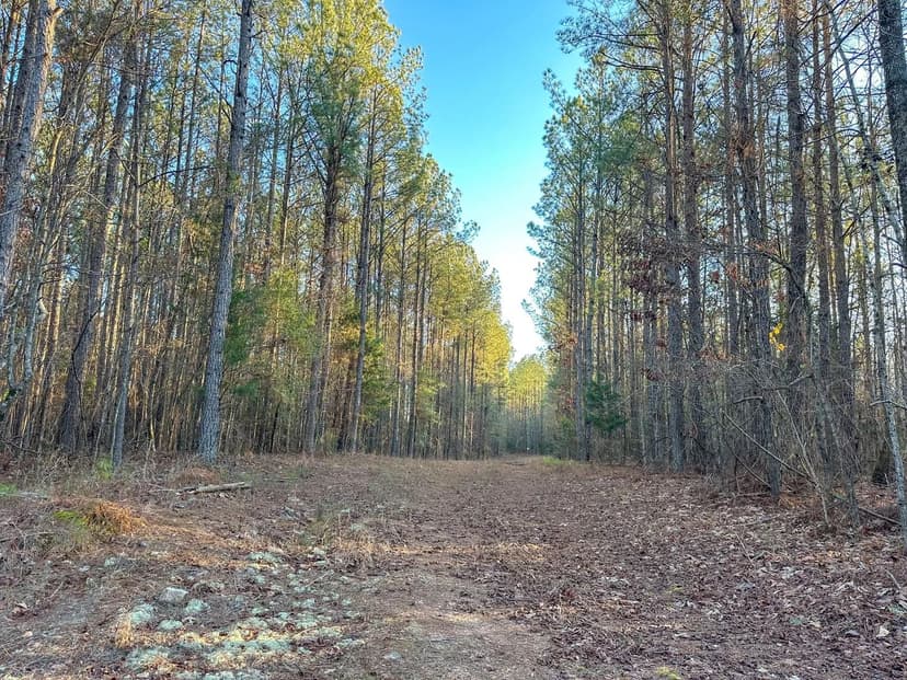 6 +/- Acre Mini Farm in Waverly - Tallapoosa County