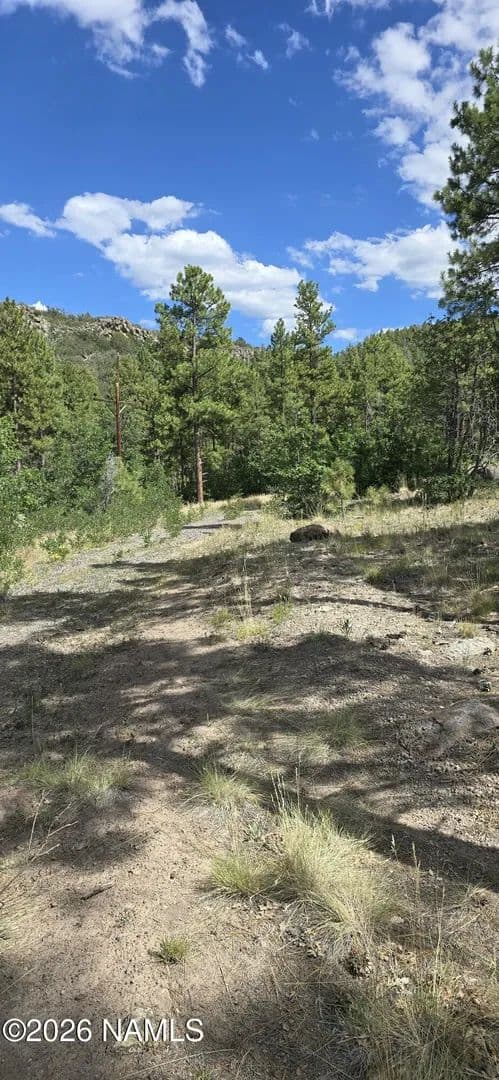 Lots & Land-Other in Williams - Williams, Arizona, 86046
