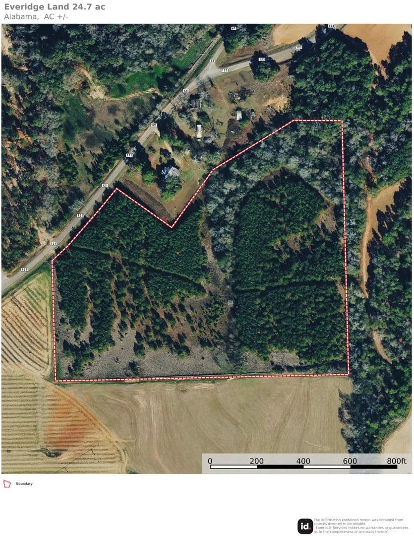 Henry County Road 61 Land for Sale - Columbia, Alabama, 36319