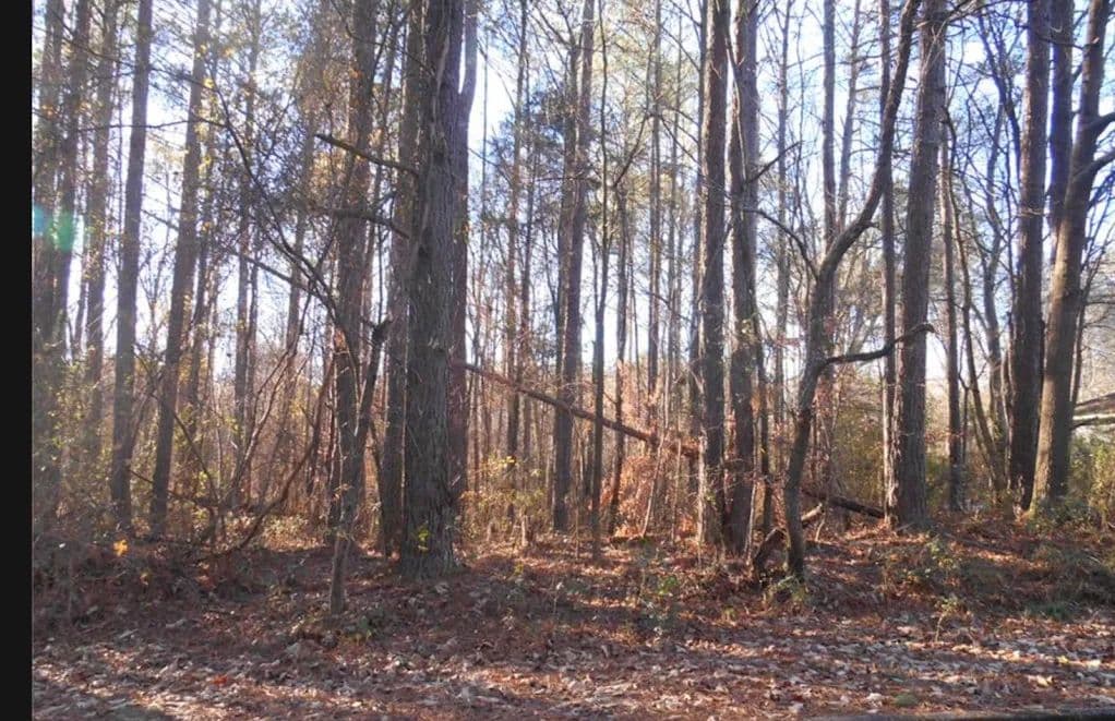 Land -Agricultural (Not Zoned) in Bowdon - Bowdon, Georgia, 30108