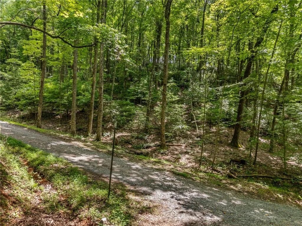 2.69 Acres of Land for Sale in Blue Ridge, GA - Blue Ridge, Georgia, 30513