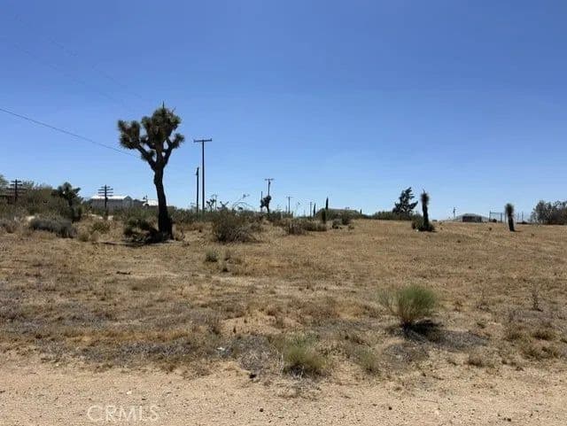 Vacant Land in Phelan - Phelan, California, 92371