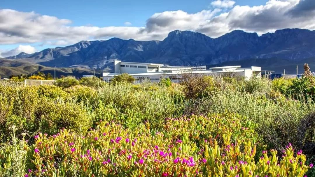 330 Acres of Land for Sale in Robertson, Western Cape - land for sale