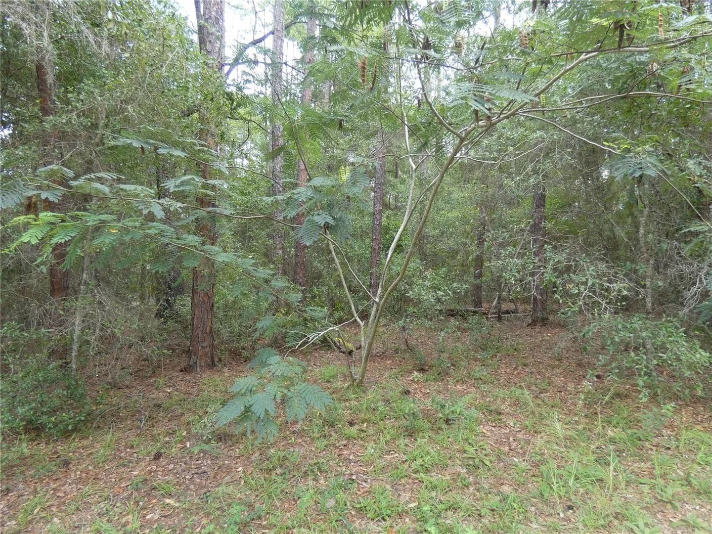 Lots & Land-Other in DUNNELLON - Dunnellon, Florida, 34434