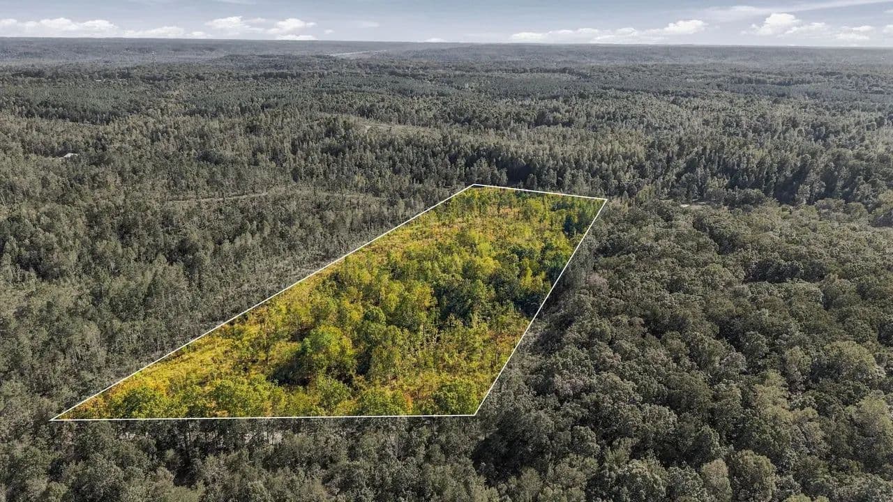 13.85 Wooded Acres in Benton County's Birdsong Landing! - Holladay, Tennessee, 38341