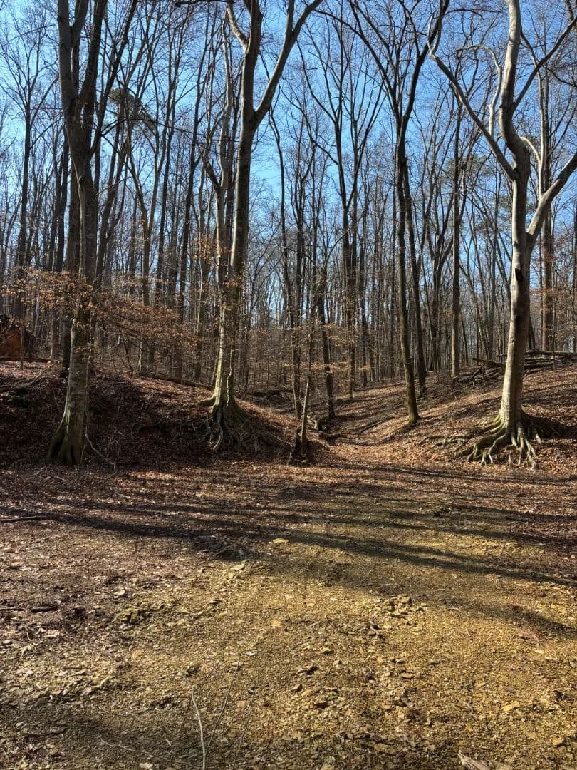 14.43 Acres in Bradley County, TN 