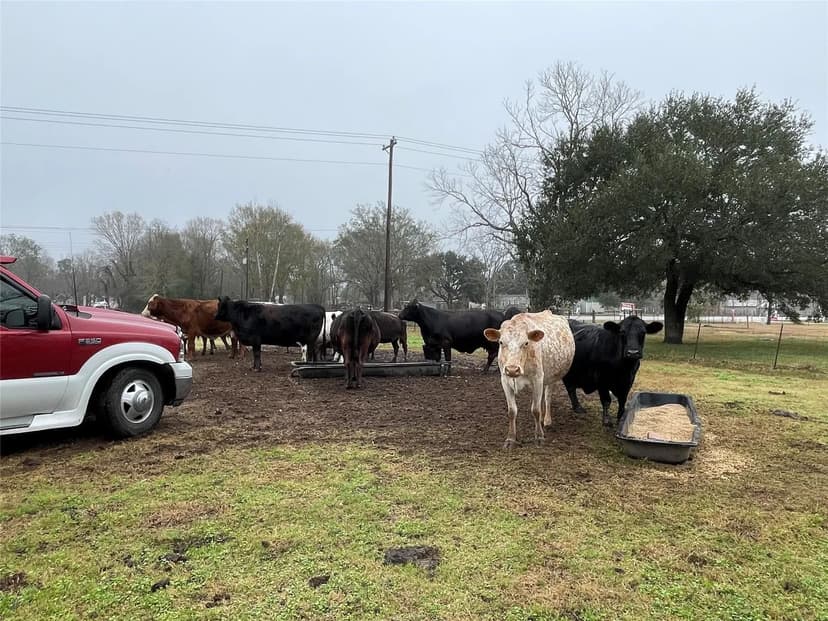 Property from TBD Tx-321 - KW
