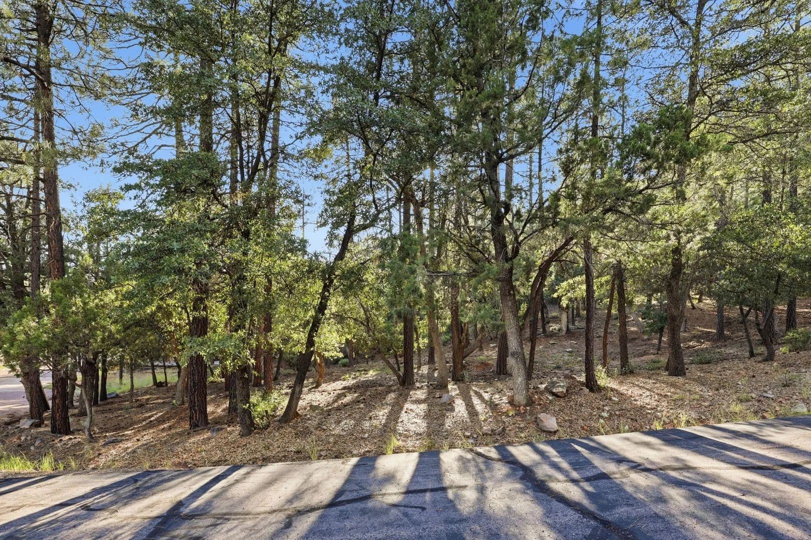 Lots & Land-Other in Pine - Pine, Arizona, 85544