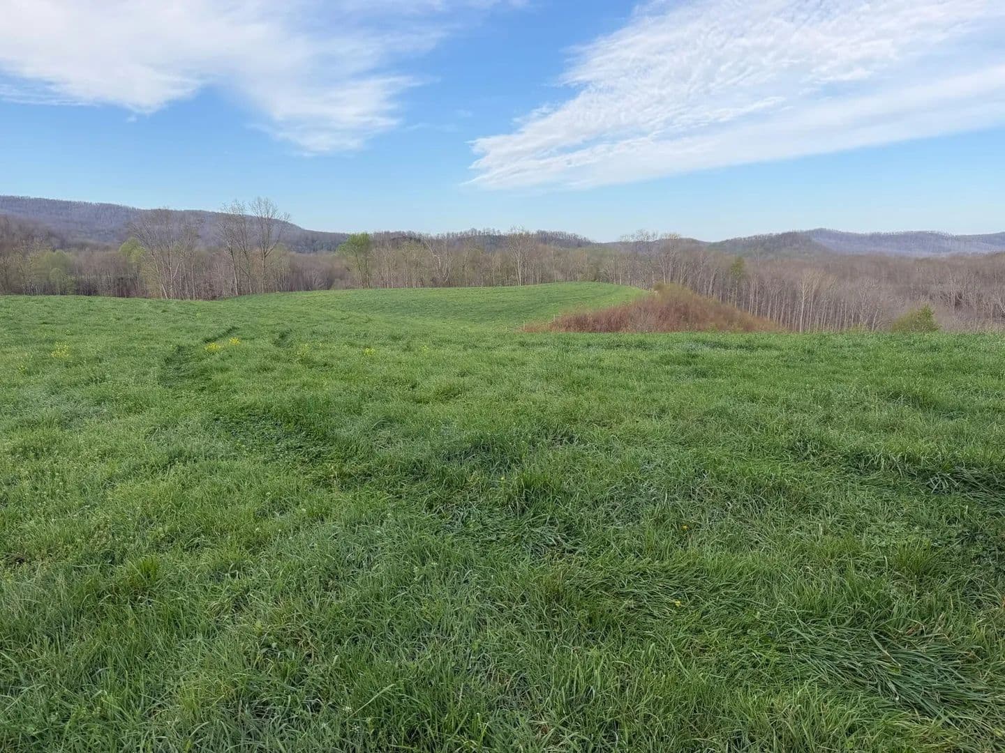 Lots & Land-Other in Alderson - Alderson, West Virginia, 24910