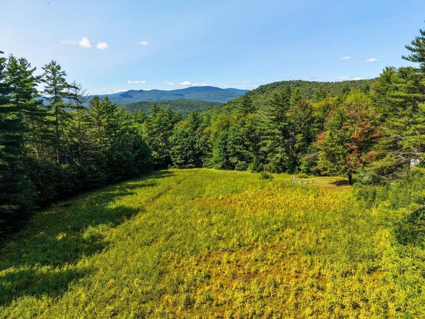 Lots & Land-Other in Thornton - Thornton, New Hampshire, 03285