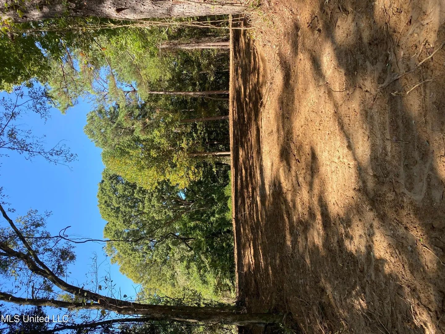 Property from O Bluff Road - KW - Coldwater, Mississippi, 38618