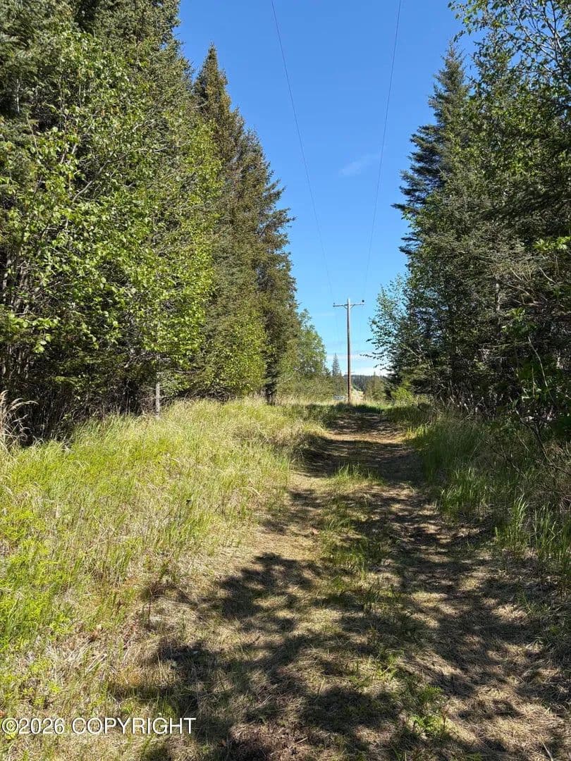 Vacant Land in Homer - Homer, Alaska, 99603
