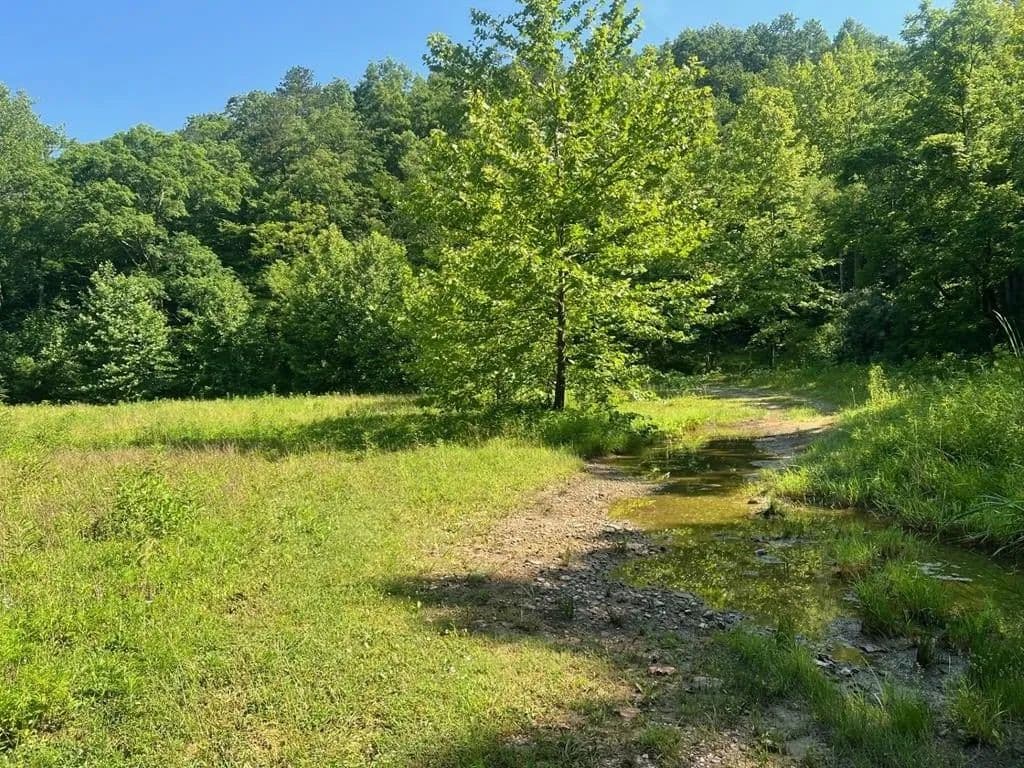 Lots & Land-Other in Gunlock - Gunlock, Kentucky, 41640