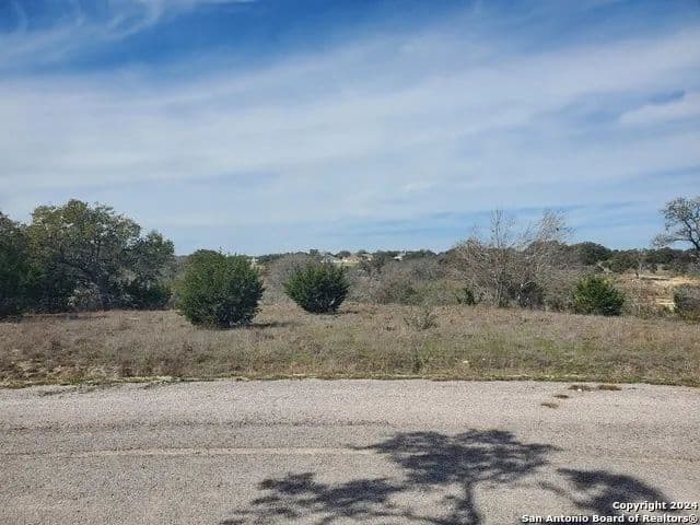 Vacant Land in Blanco - Blanco, Texas, 78606