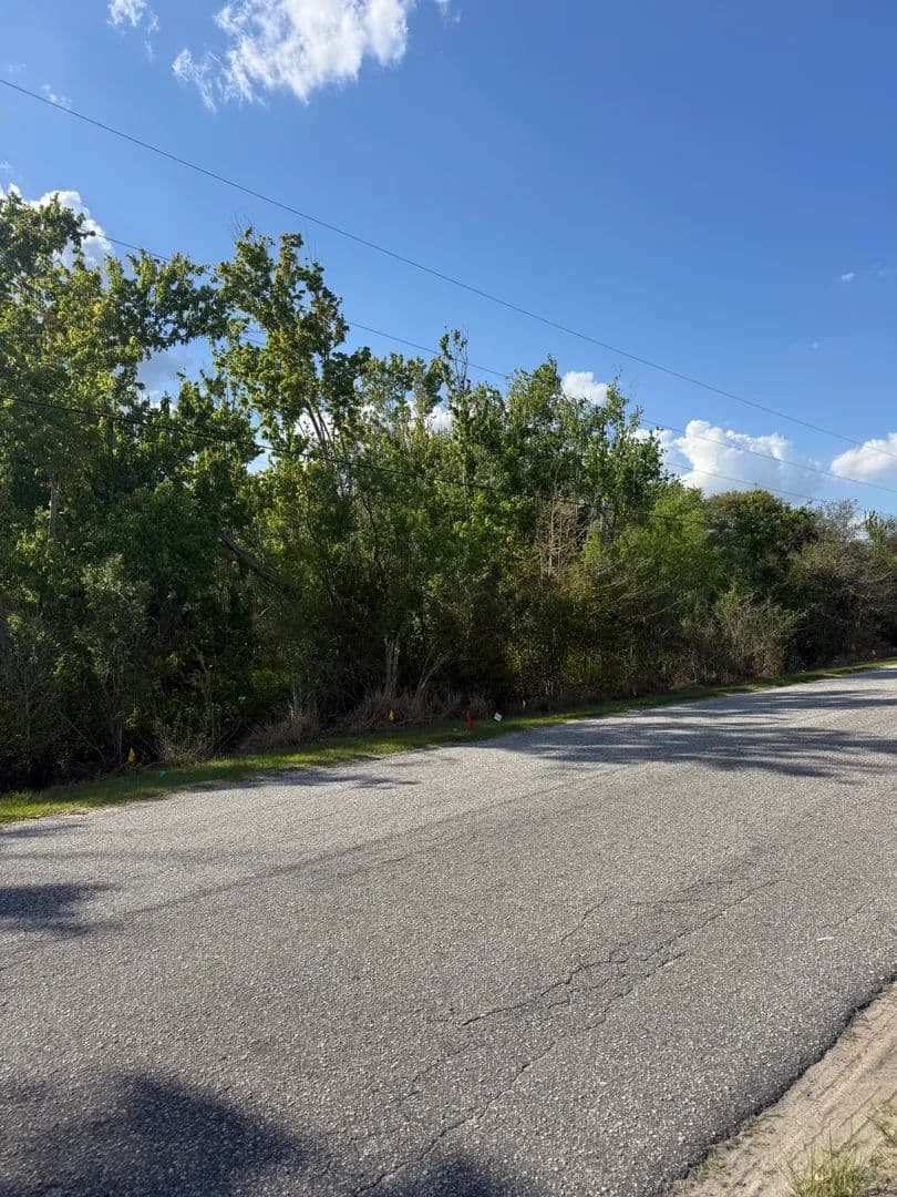 Vacant Land in Groveland - Groveland, Florida, 34736