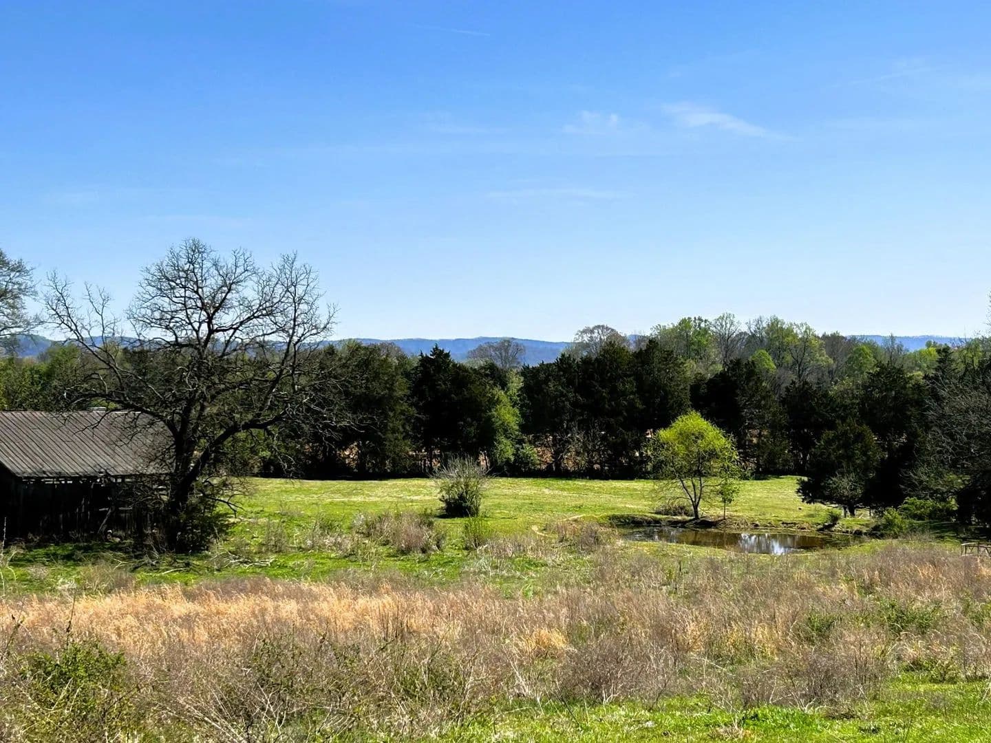 Property from 17.5 Acres County Road 571 - KW - Englewood, Tennessee, 37329