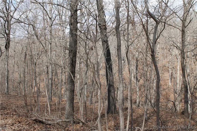 Lots & Land-Other in Edwards