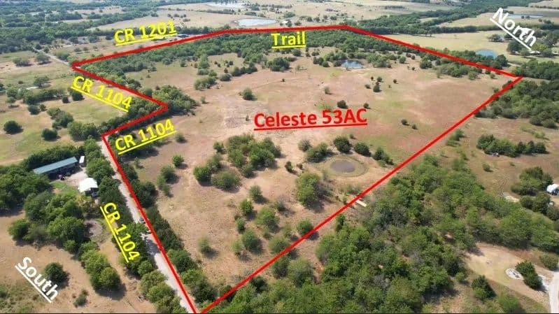 52.95 Acres of Land for Sale in Celeste, Texas - Celeste, Texas, 75423