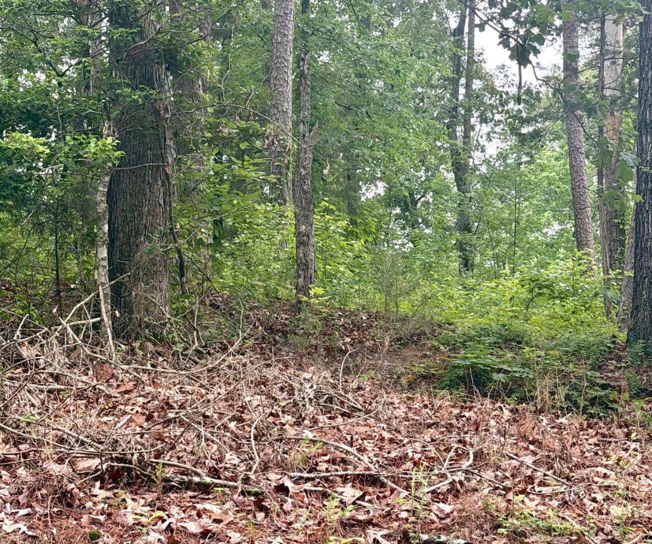 101 Individual Lots in Grenada County in Gore Springs, MS - Gore Springs, Mississippi, 38929