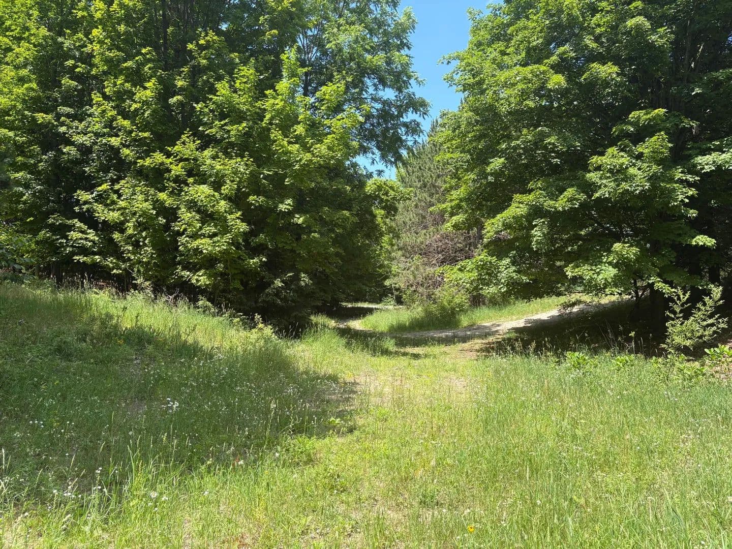 Vacant Land in Frankfort - Frankfort, Michigan, 49635