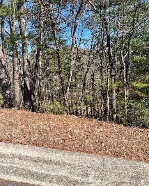 Vacant Land in Helen