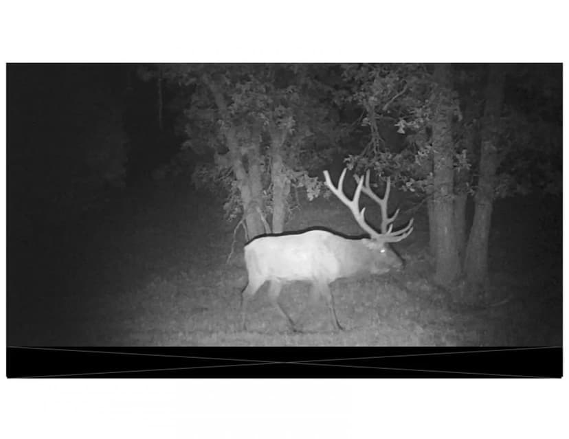 WY Black Hills Hunter's Paradise