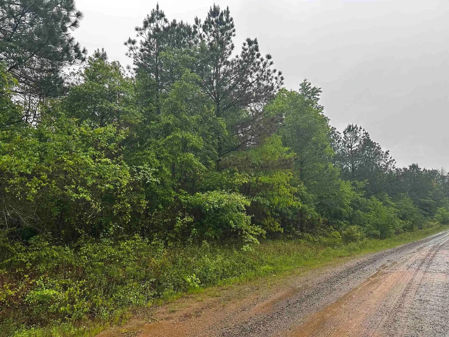 Lots & Land-Other in Bonnerdale - Bonnerdale, Arkansas, 71933