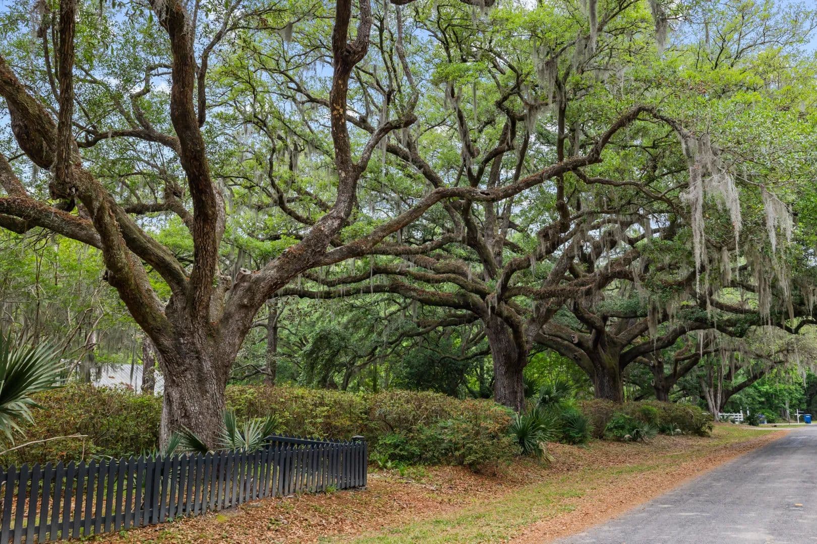 Bulow - Johns Island, South Carolina, 29455