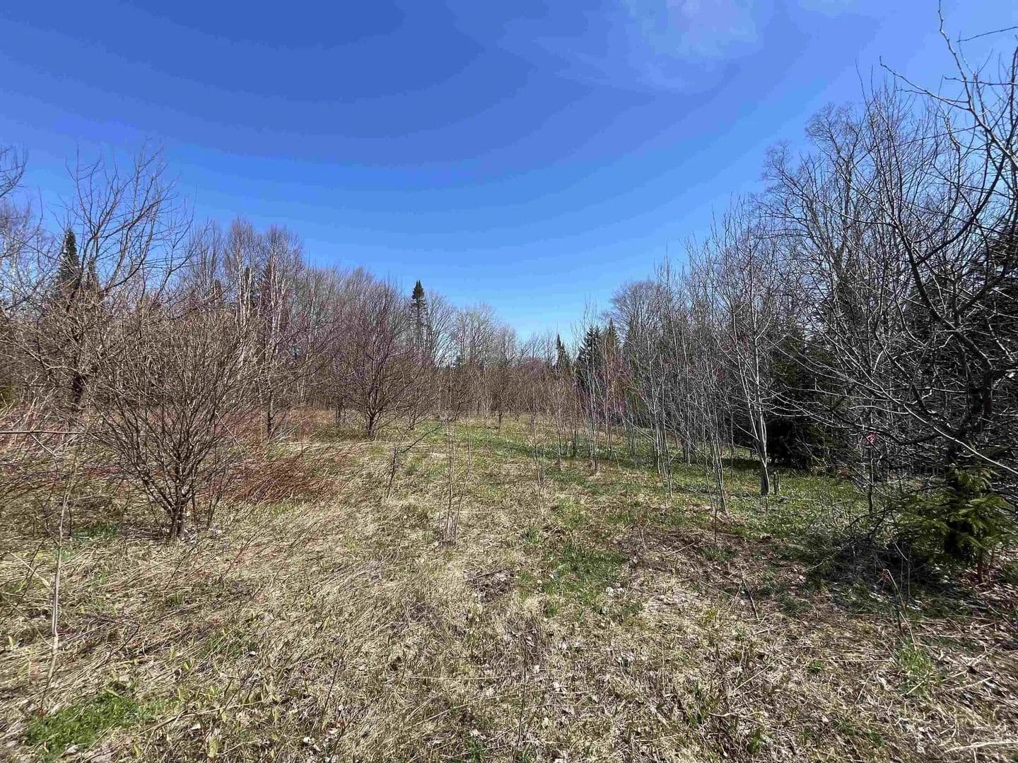 Lots & Land-Other in Westmore - Westmore, Vermont, 05860